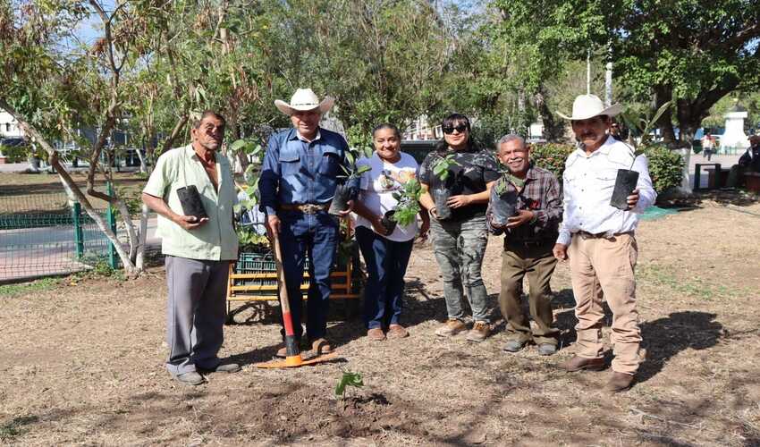 Dirección de Desarrollo Rural realiza siembra de 30 árboles en la plaza municipal
