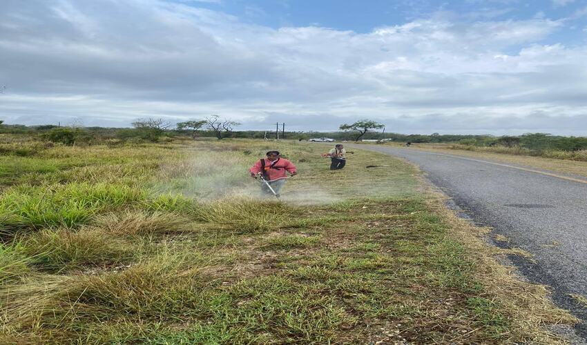 Aldama se embellece: limpieza en la glorieta rumbo a la Barra del Tordo