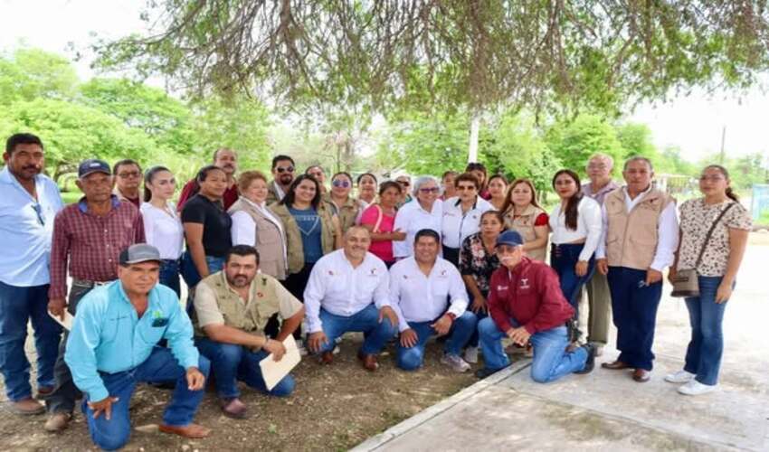 Programa de Empleo Temporal “S235 Impulsando tu Bienestar