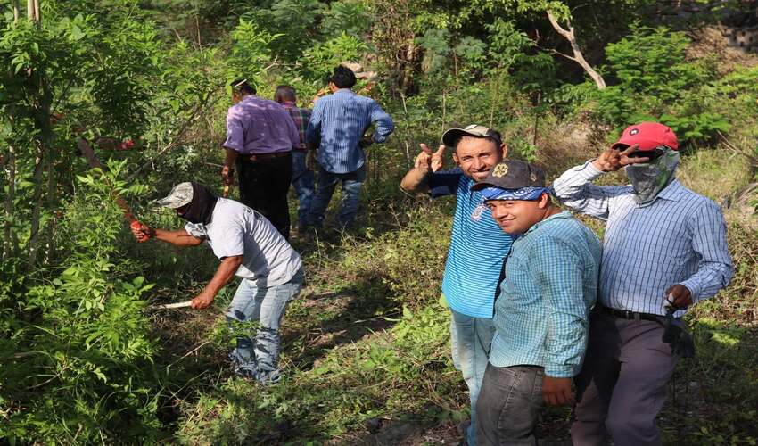 DÍA MUNDIAL DEL MEDIO AMBIENTE